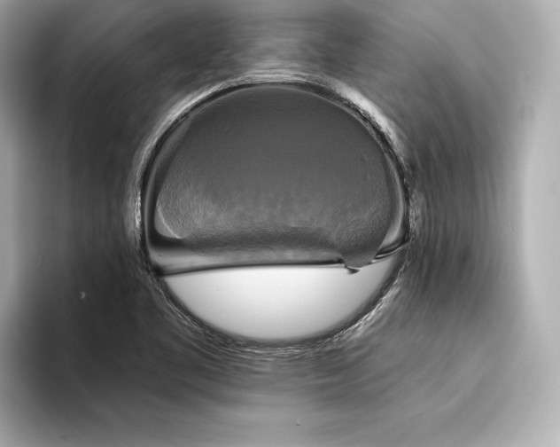 X0000094351461200711021424