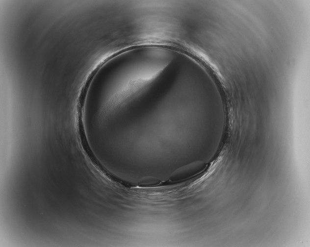 X0000094351463200711021424