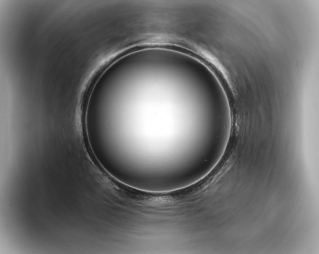 X0000094351464200711021424