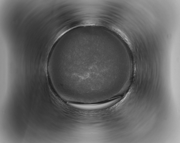 X0000094351465200711021424