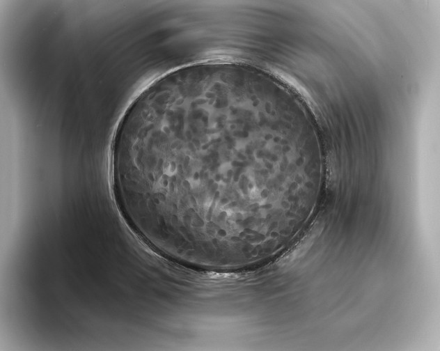 X0000094351467200711021424