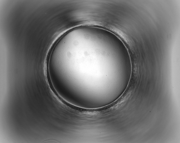 X0000094351468200711021424