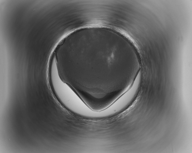 X0000094351469200711021424