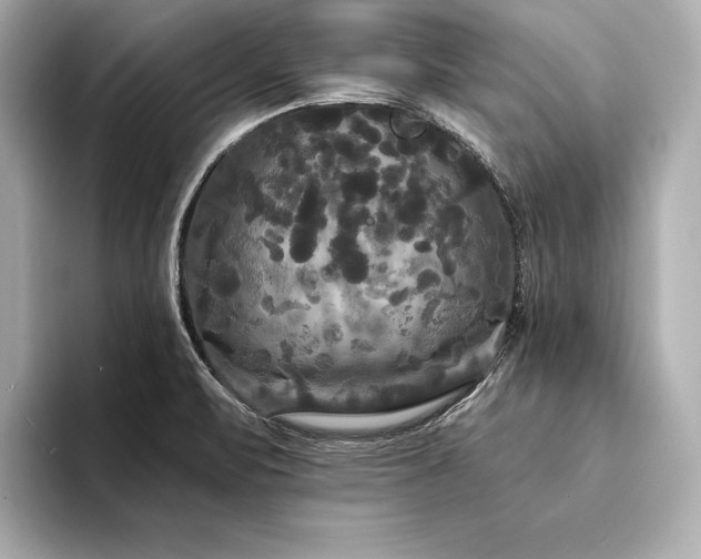X0000094351471200711021424