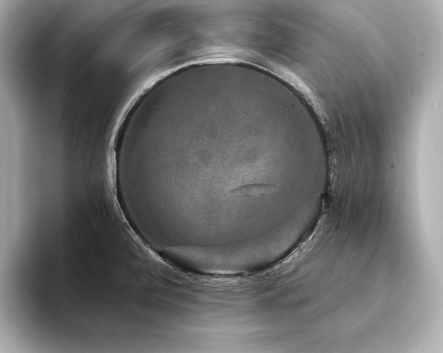 X0000094351472200711021424