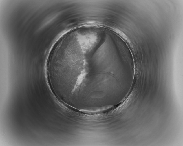 X0000094351474200711021424