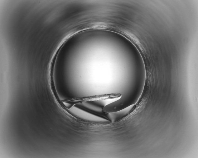 X0000094351475200711021424