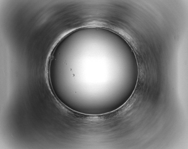 X0000094351478200711021424