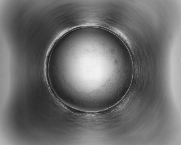 X0000094351480200711021424