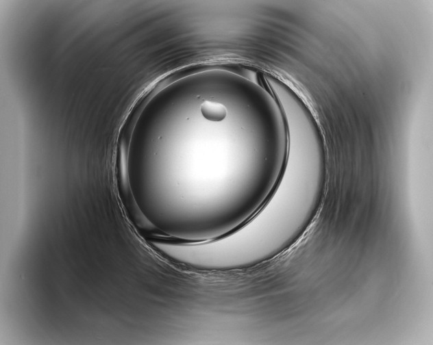 X0000094351481200711021424