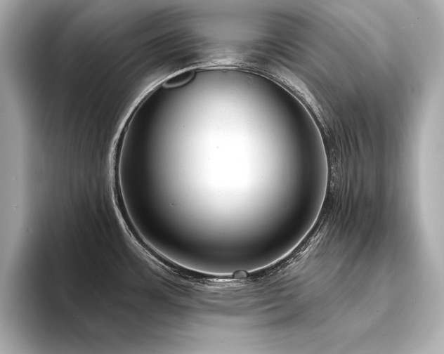 X0000094351483200711021424