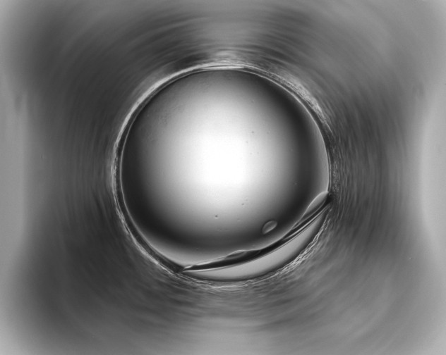 X0000094351484200711021424