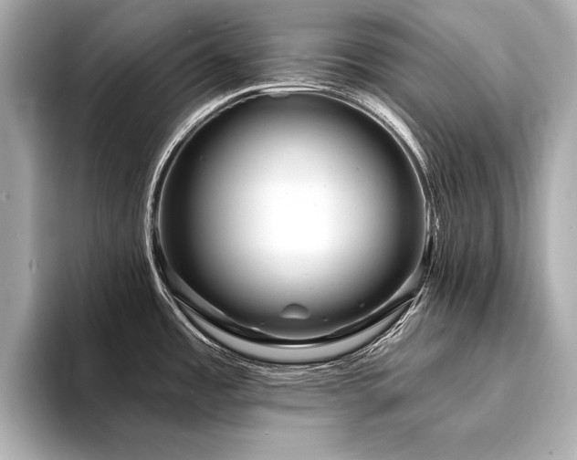 X0000094351485200711021424