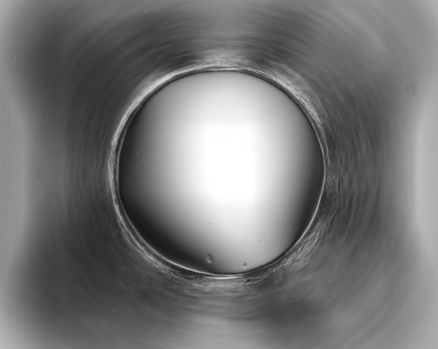X0000094351486200711021424