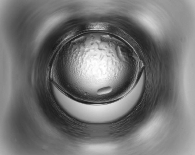 X0000094351487200711021424