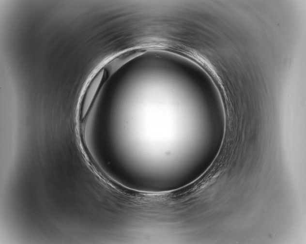 X0000094351488200711021424