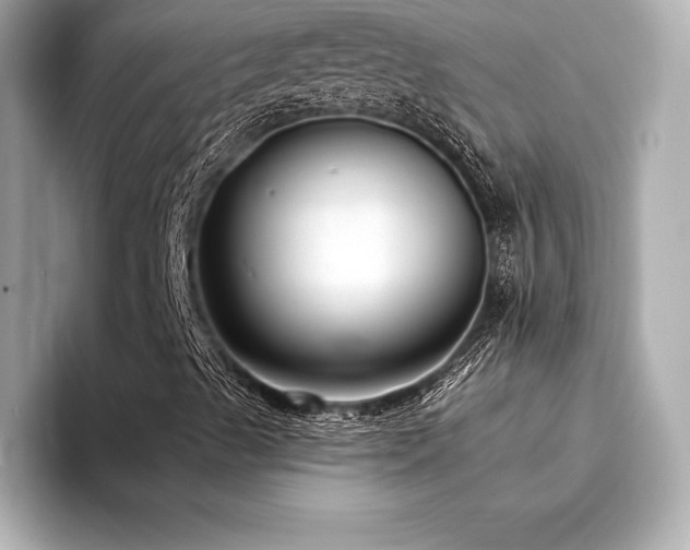X0000094351489200711021423