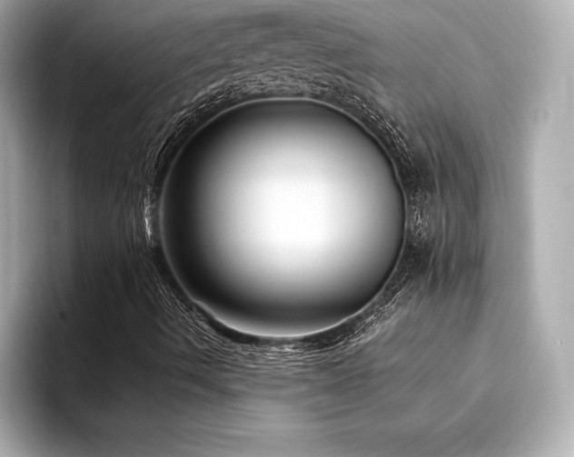 X0000094351490200711021423
