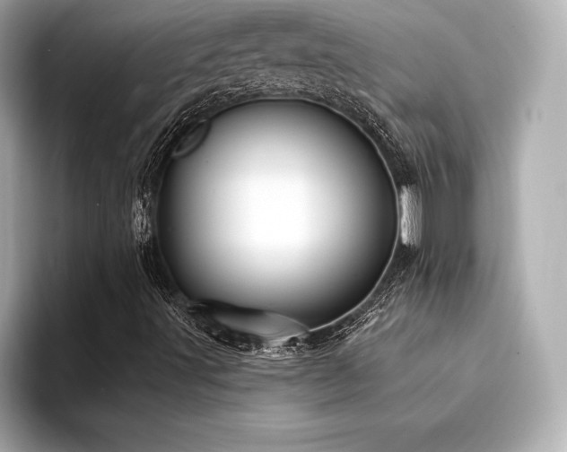 X0000094351491200711021423