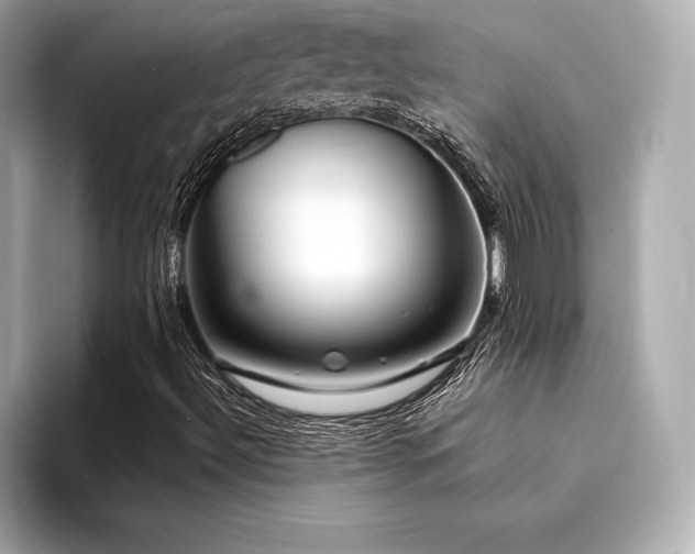 X0000094351492200711021423