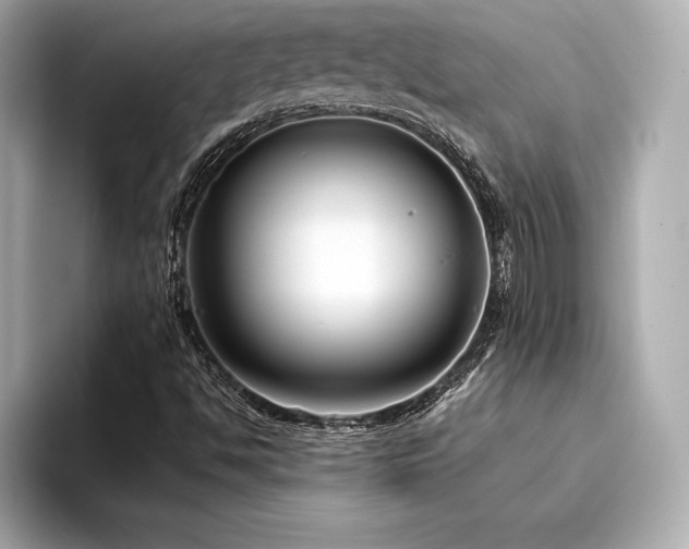 X0000094351494200711021423