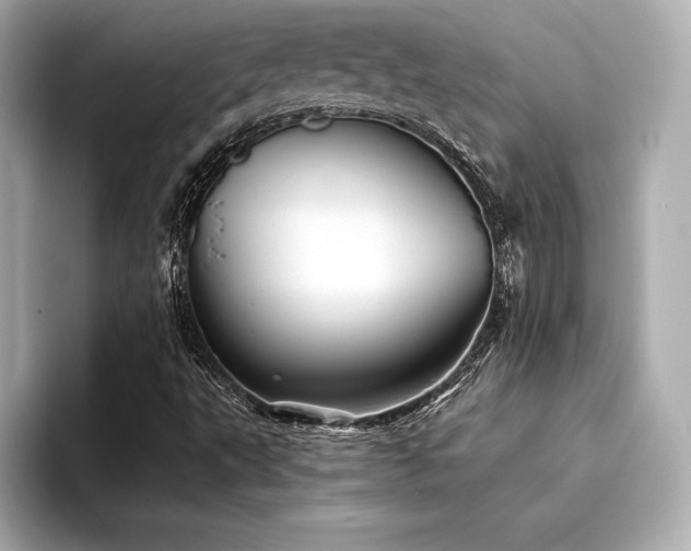 X0000094351495200711021423