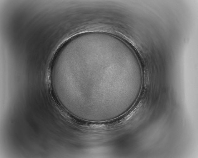 X0000094351498200711021423