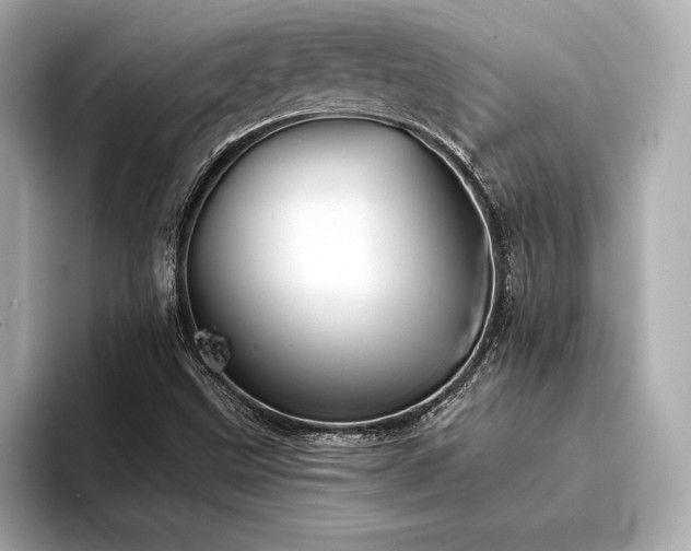 X0000094351499200711021423
