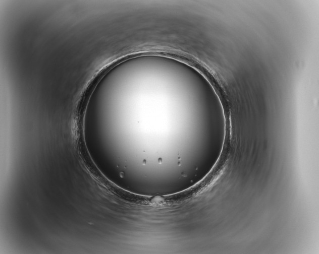 X0000094351501200711021423