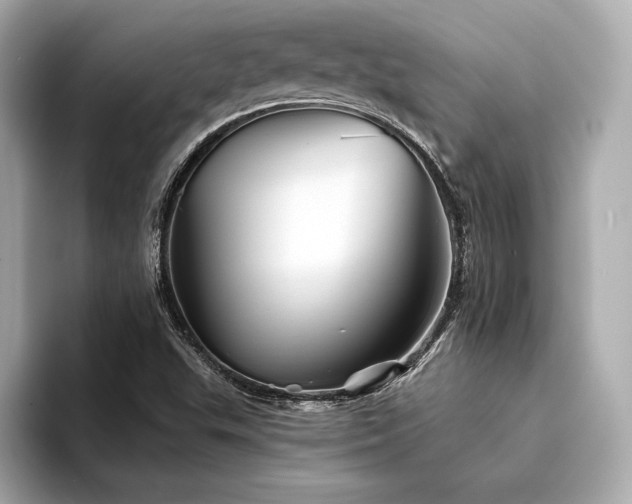 X0000094351503200711021423