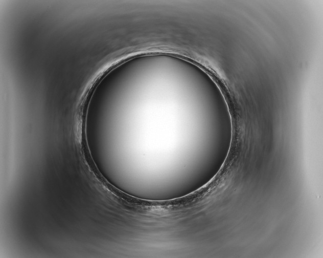 X0000094351504200711021423