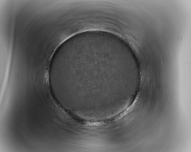 X0000094351505200711021423