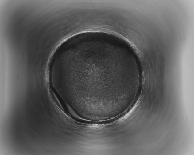 X0000094351506200711021423