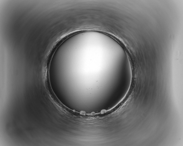 X0000094351507200711021423