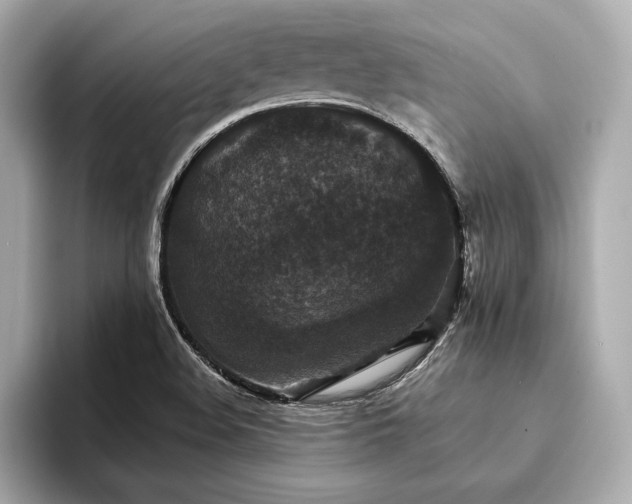 X0000094351508200711021423