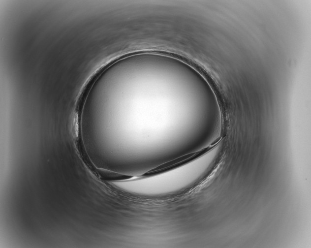 X0000094351509200711021423