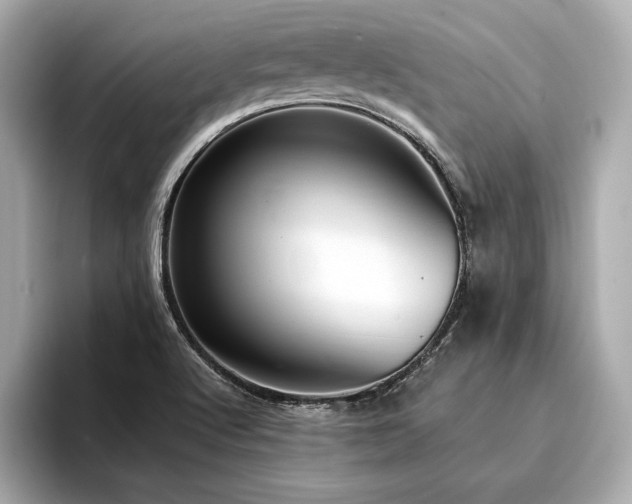 X0000094351512200711021423