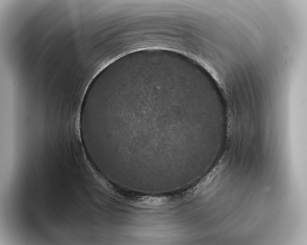 X0000094351513200711021423