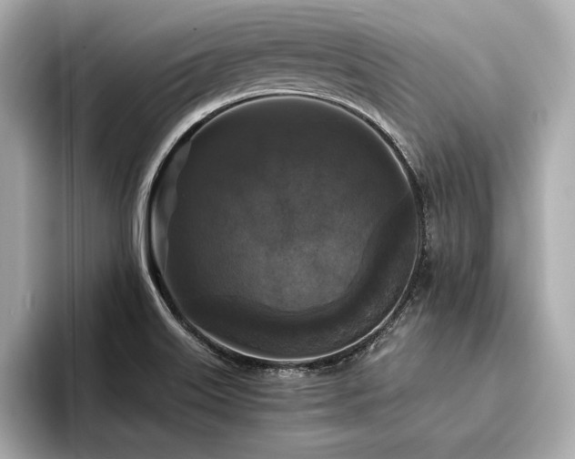 X0000094351515200711021423