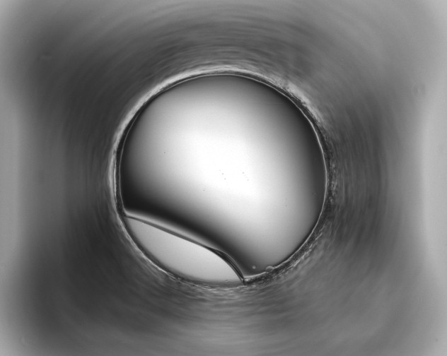 X0000094351516200711021423