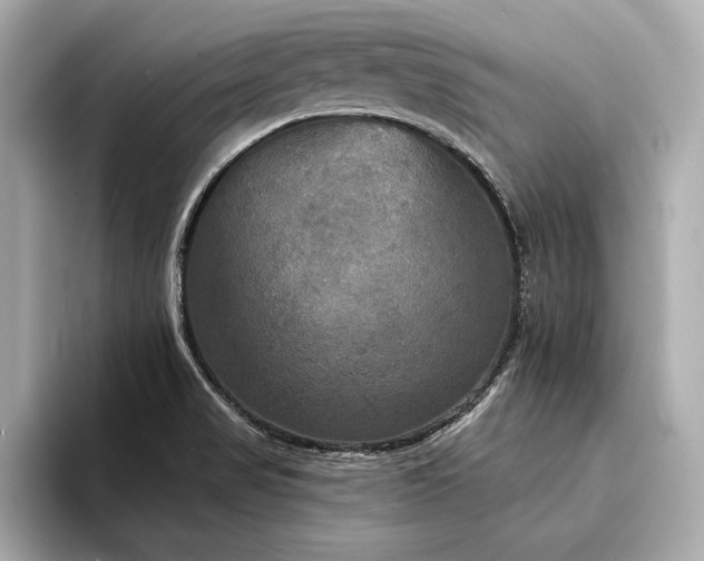 X0000094351517200711021423