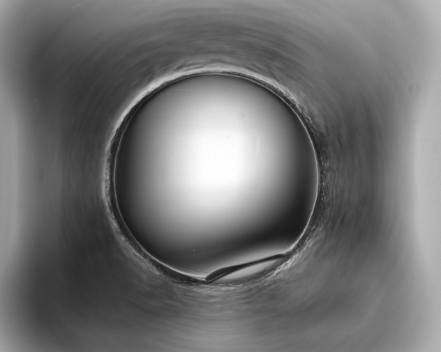 X0000094351518200711021423
