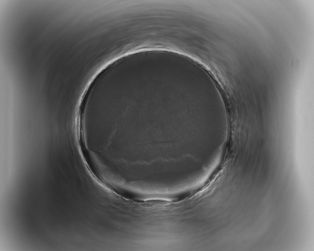 X0000094351519200711021423