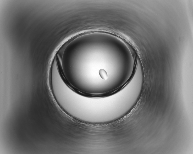X0000094351520200711021423