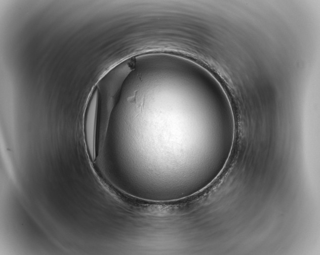 X0000094351521200711021423