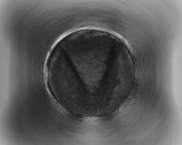 X0000094351522200711021423