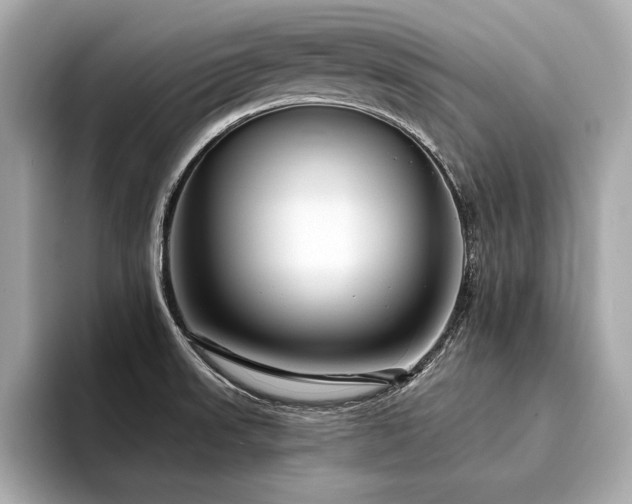 X0000094351523200711021423