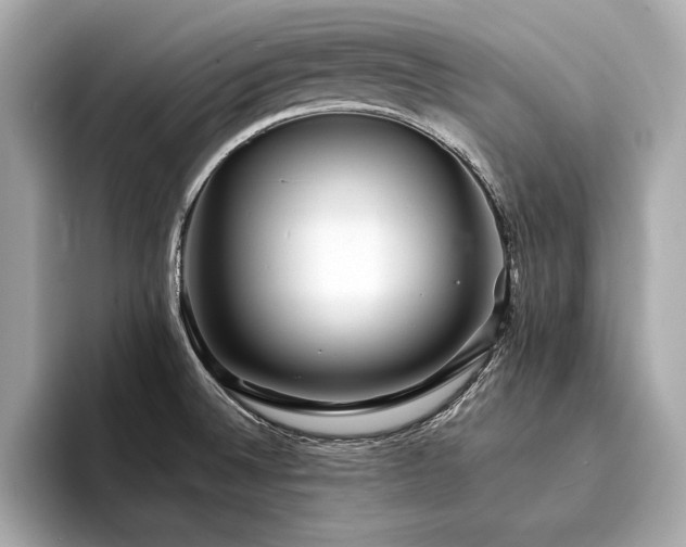 X0000094351524200711021423