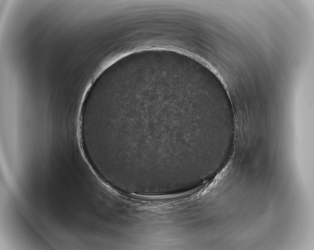 X0000094351525200711021423