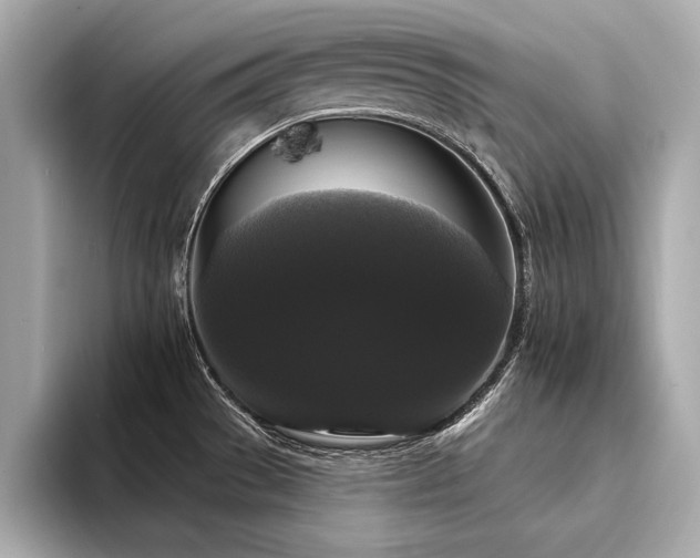 X0000094351529200711021423